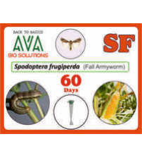 Ava Spodoptera Frugiperda (SF) Lure